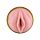 Мастурбатор вагіну в колбі Fleshlight Pink Lady Stamina Training Unit, кібершкіра, рельєфний