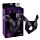 Трусики для страпону Chisa R.G.B Sex Luxe Harness, чорні